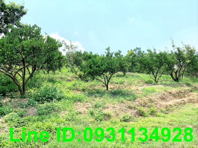 東勢農地-2
