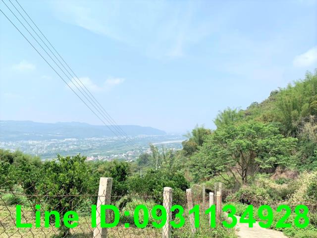東勢農地-4
