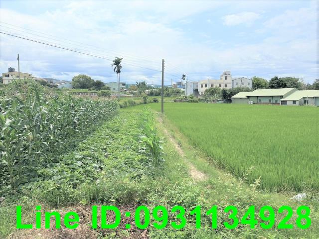 台中農地-0