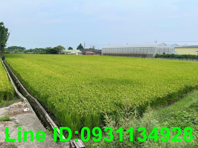 台中外埔農地-1