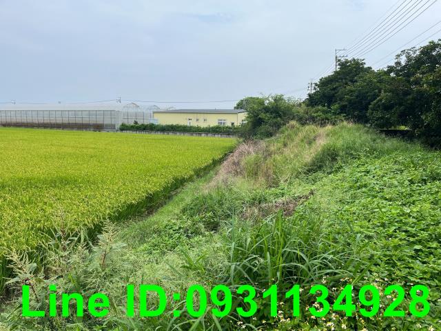 台中外埔農地-2