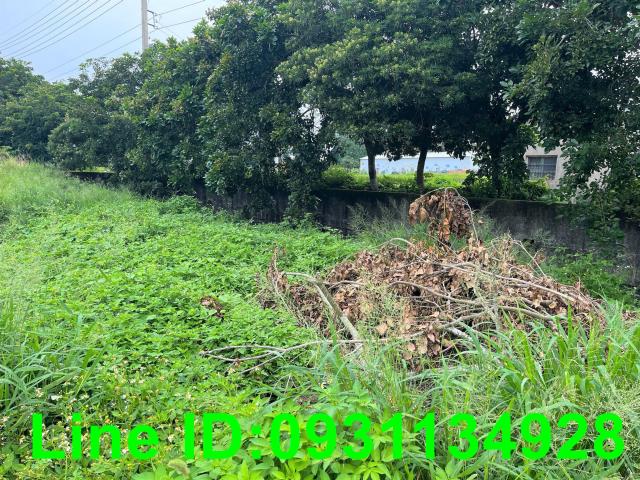 台中外埔農地-3