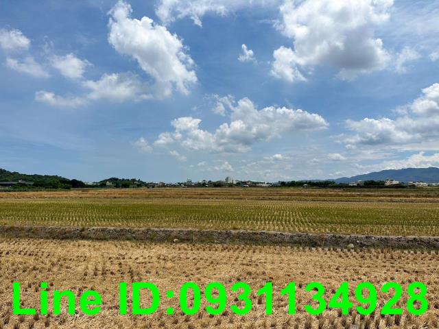 台中外埔農地-1