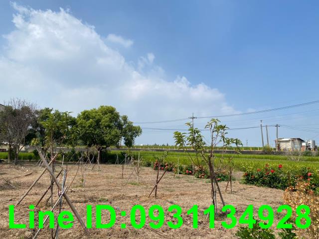 台中后里建地-3