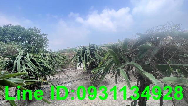 台中后里農地-0
