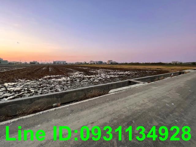 台中龍井農地-4