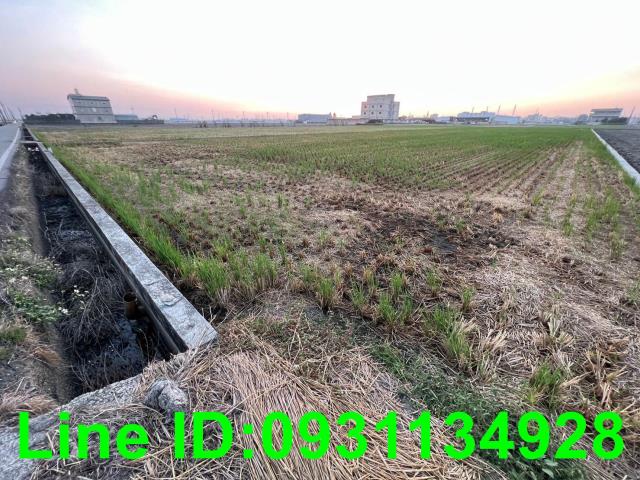 台中龍井農地-1