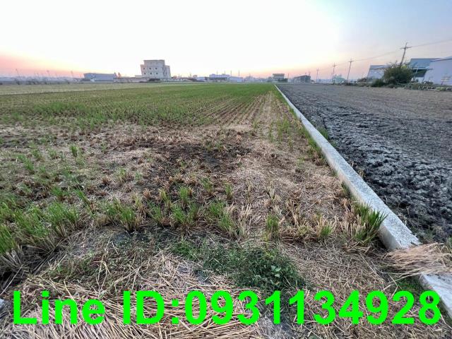 台中龍井農地-2