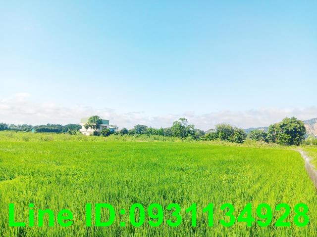 台中后里農地-0