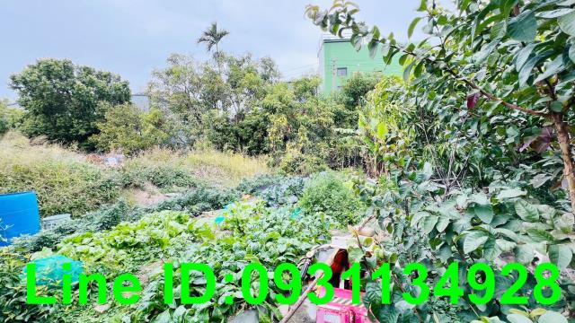 苗栗農地-2