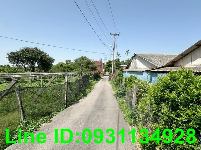 外埔農地-3