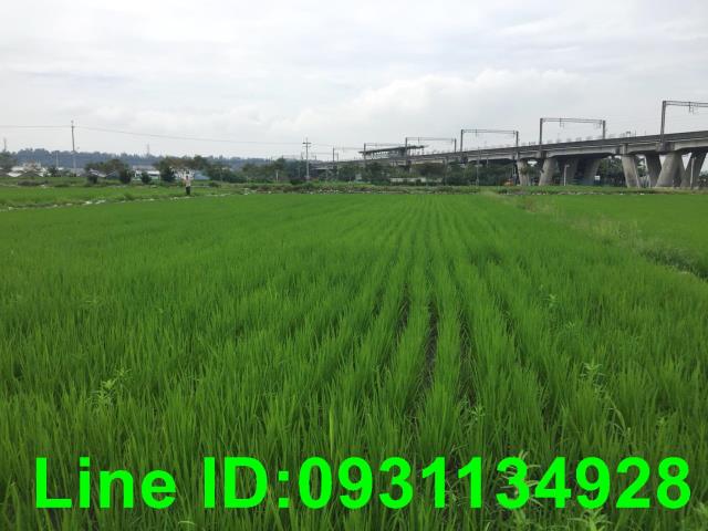 后里農地-0