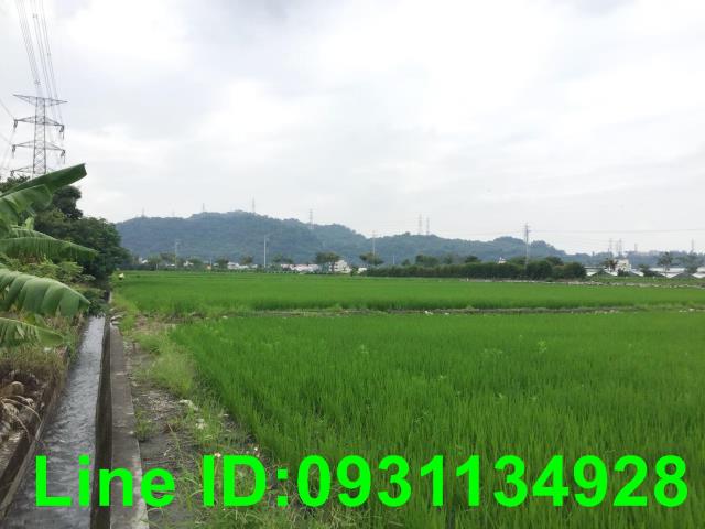 后里農地-1