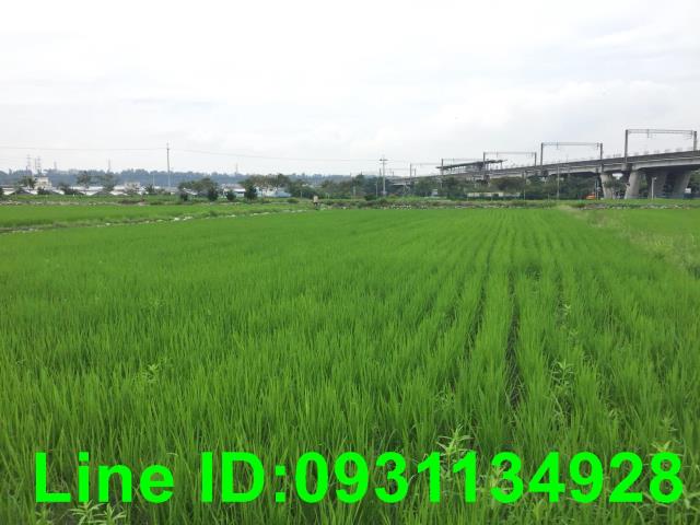 后里農地-0