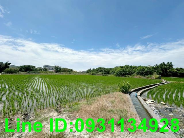台中后里農地-2