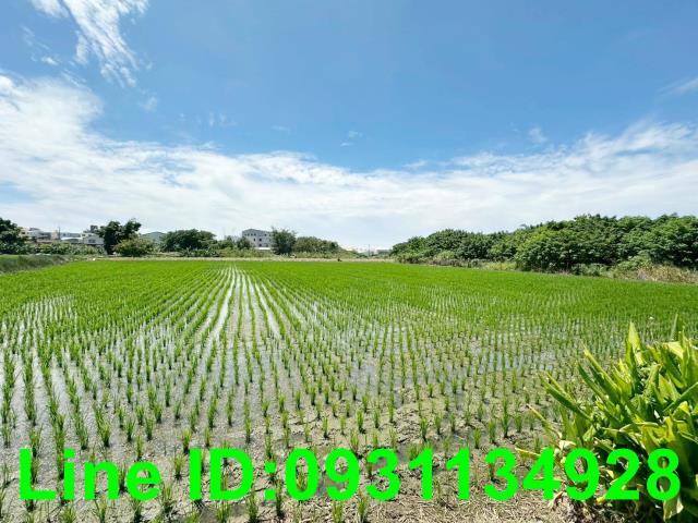 台中后里農地-1