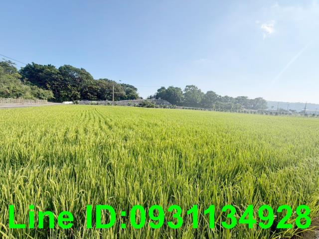 台中農地-0