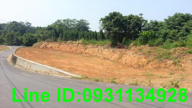 后里農地-4