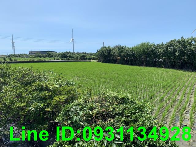 苑裡農地-0