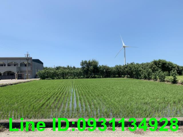 苑裡農地-2